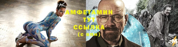 индика Кадников