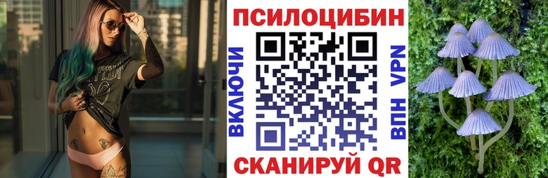 Галлюциногенные грибы MAGIC MUSHROOMS  Купить где  Дагестанские Огни 